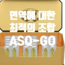 시즌글라스홍성점