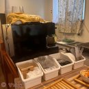양재천 샌드위치 맛집 이더웨이 쏘 굿에서 브런치