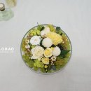 옐로우레이크