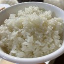 성진유통 | 의성진쌀/고슬고슬 윤기나고 맛있는 밥맛 좋은 쌀추천