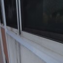 구평동-3 이미지