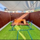 서른살나의펫 이미지