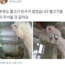들임 이미지