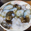 대명항1로 92번길 | 대명항수산시장 내돈내산 먹거리추천 성영호 전어회 광어회 생새우 수철이네새우튀김본점 등