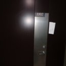 분당-239 이미지