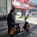 강릉바이크 티스토리