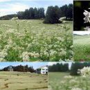 금선농장 이미지