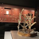 사도 도마 성지순례 (2026.1.6~7)1세기에 우리나라에 다녀간 사도 도마의 흔적을 찾아 이미지