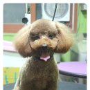 엘리펫 살롱 이미지