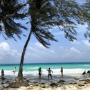 헤어헤찌 | 방구석 보라카이 여행 🌴