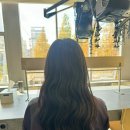 아버헤어 송도학원가점 | 아버헤어 송도학원가점 센트럴파크미용실 밀본클리닉 솔직후기