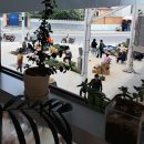 진상 5일시장 이미지