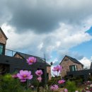 브릭나인맨션 이미지