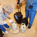 아시아매니징(주) 메이힐스 리조트 | IVF Couriers 냉동 정자, 냉동 난자, 냉동 배아 해외 이관 후기