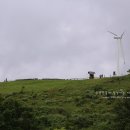 웰컴투목장 이미지