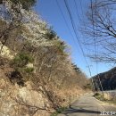 미현농장 이미지