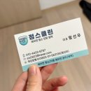 정스클린
