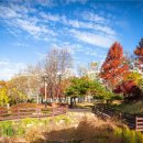 3.1.공원 이미지