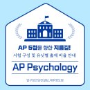 압구정코딩컨설팅