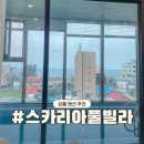 스카리아 | 강릉 스파펜션 추천 가성비 수영장 숙소 스카리아 풀빌라 찐후기