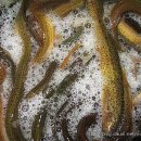 외할머니 추어탕 이미지