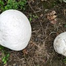 산내면 입석마을 이미지