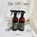 이엠(EM)학원 | 탈취제 추천 바이오이엠케어 미생물 EM 편백탈취제 , 집 사무실 차량까지 냄새 제거 후기