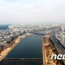 사람, 별 ,말이 어울리는 영천대말 이미지