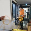 태비 태권도장 이미지