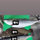 이찬규스시