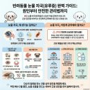 나눔동물약국 | 강아지 눈물 원인과 해결책, 그것이 알고싶다⁉️(제 1화,강아지 눈물사료)