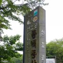 동백동산 이미지