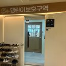 댕린이 보호구역 이미지