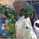 재학농장 이미지