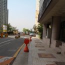 대구S동물병원 이미지