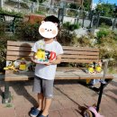 LH감전 꿈꾸는 작은도서관 이미지