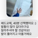 캐치독 | 광주 펫시터 맡길만한곳 “캐치독” 후기 ❤️