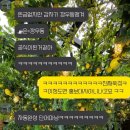 나는야 깡우동파👊🏻, 내가 다녀본 깡우동 지점 내돈내산 리뷰