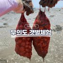 월출오토바이 | 인천 무의도 조개잡이 갯벌체험 후기 포내 어촌체험마을
