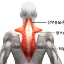 40피티 네이버블로그