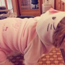 오원석 황금동물병원 이미지