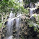 두성농장 | 광주허니문 렛츠고허니문을 통해 세부 고고싱 :)