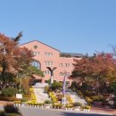 세무회계마인