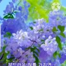 보은하다 이미지