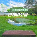 봉개동 명도암 선생 유허비 | 제주시 오름 추천 제주 안세미오름 입구 명도암물