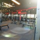 브이 피트니스 이미지