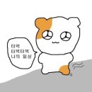 2023 11월 中下