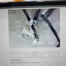 대전 노은역 헤어 이든헤어(구. 모즈헤어) 클리닉 후기