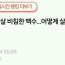 백수주유소 Daum카페