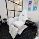 레푸스 범어점 이미지